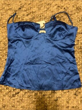 Commence Blue Satin Bustier Tank Top